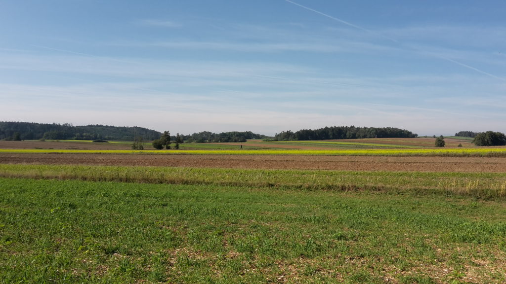 Landschaft